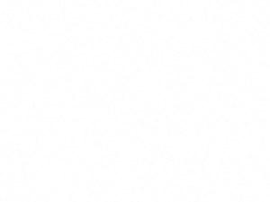 A1